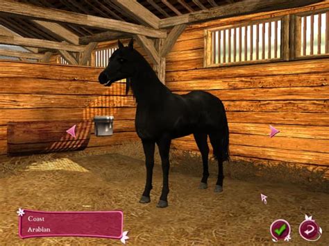 pferde spiele kostenlos online spielen
